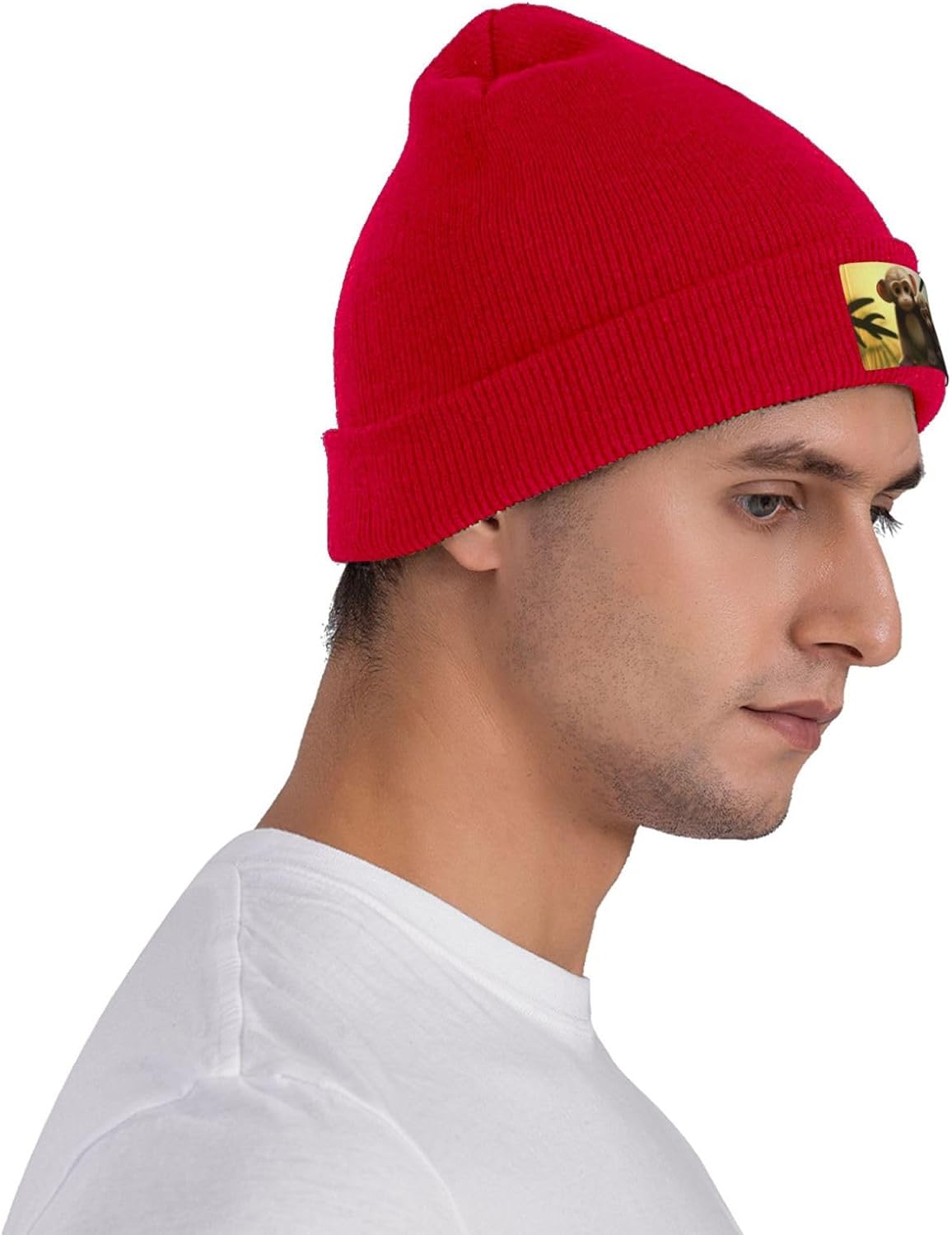 Шапка для мужчин, зимние шапки – обзор и цена Beanie Cuffed Knit
